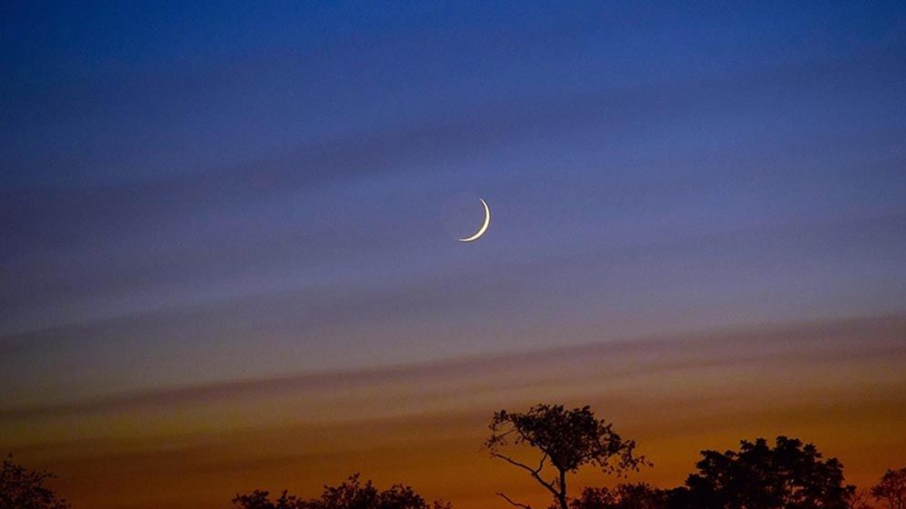 চাঁদ দেখা গেছে, সৌদি আরবে রোববার ঈদ